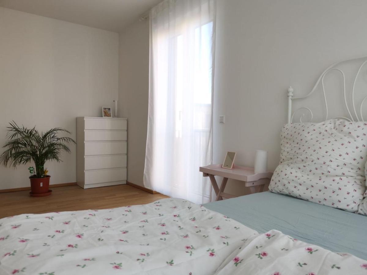Gemuetliches Privatzimmer In Geraeumiger Gemeinschaftswohnung Dresden Luaran gambar